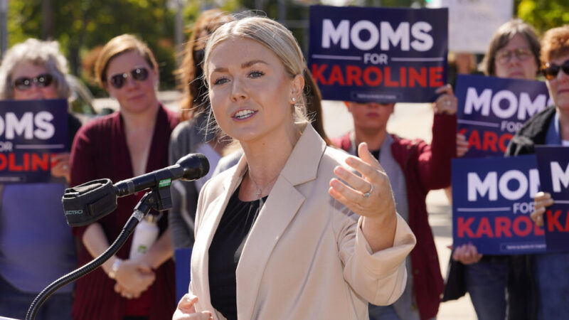 House GOP's possible newcomers include outsiders, extremists